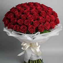 Букет 101 Красная роза Блэк Мэджик в Арчединской