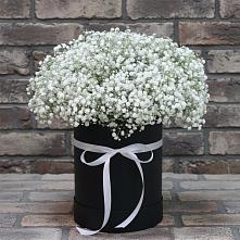 Цветочная композиция из Гипсофила в шляпной коробке #REPLACE_PRED# Арчединской