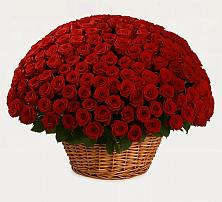 Премиум букет из: Розы в Арчединской